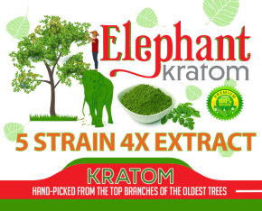 Elephant Kratom 5 Strain 4x Extract Capsules