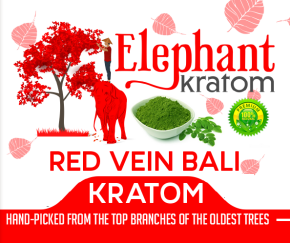 Elephant Kratom Red Vein Bali Capsules